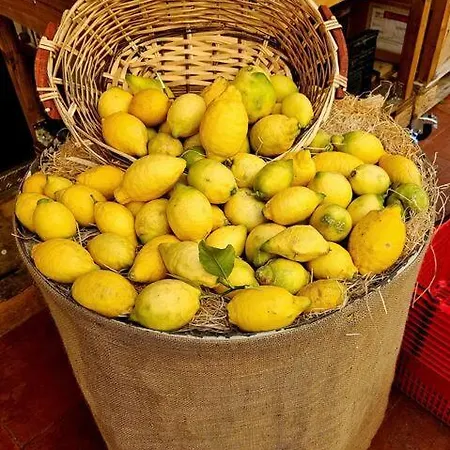 Appartamento L'onda, Cosy 2 Pièces à Proches Plages Mentone