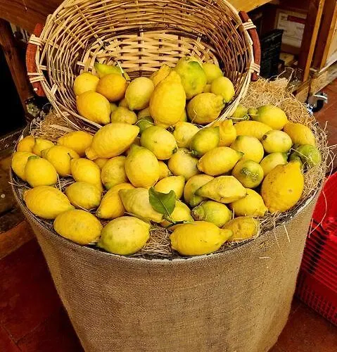 Apartamento L'onda, Cosy 2 Pieces A Proches Plages Menton